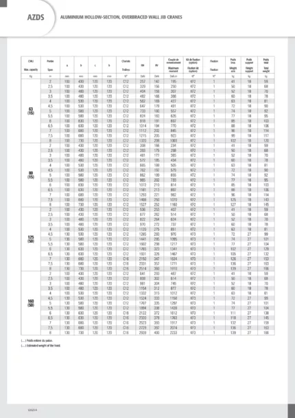 DELACCO AZDS aluminijumska zidna konzolna dizalica - standardni tip - specifikacije 2